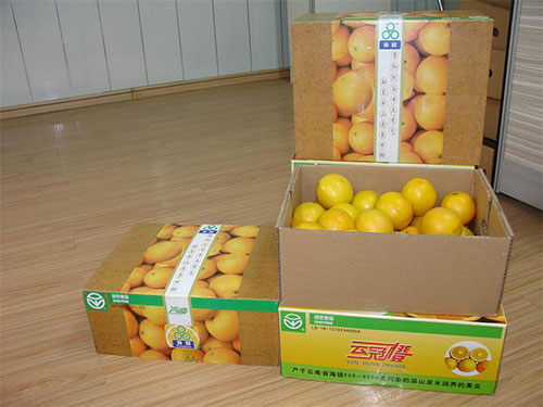蔬菜水果包裝箱成型機（jī）