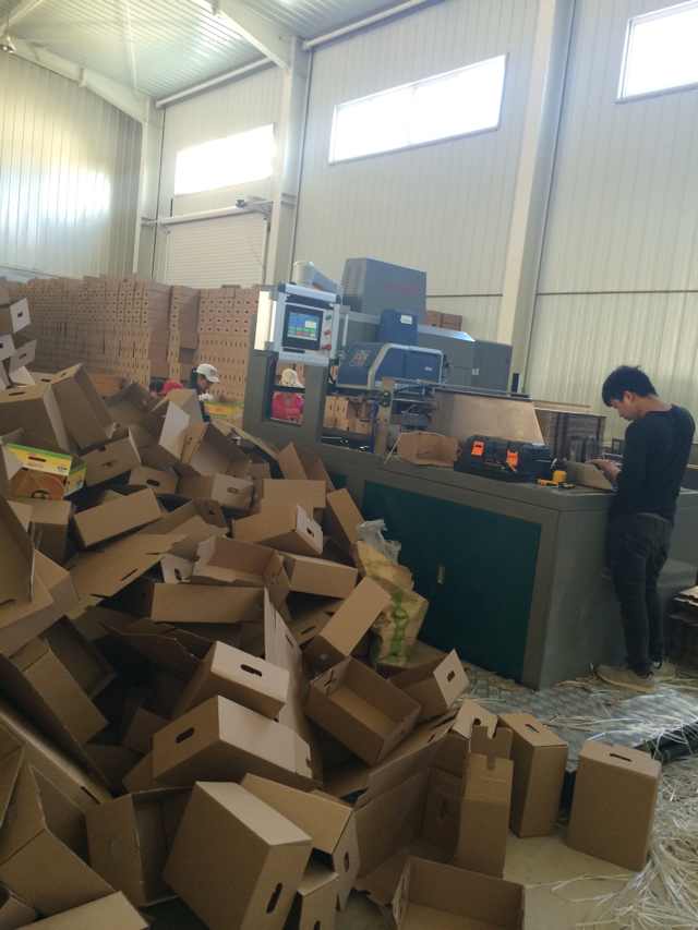 自動粘盒機