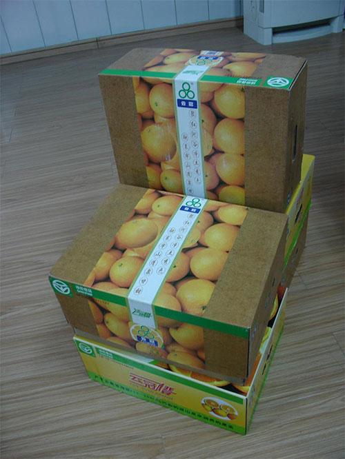 蔬菜水果包裝盒成型機